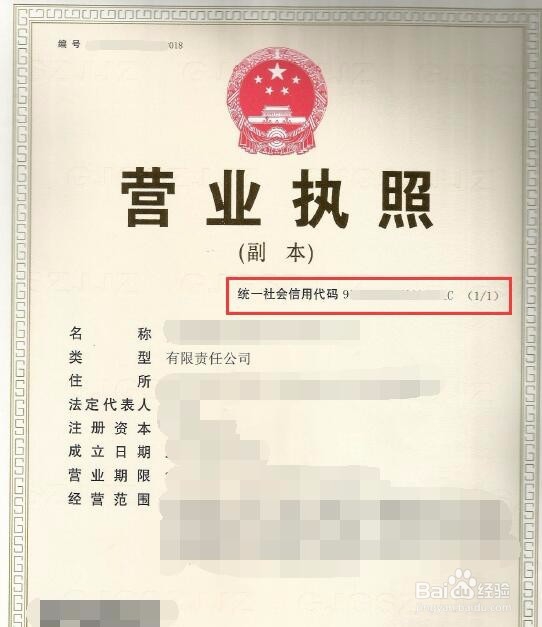 怎么查纳税人识别号