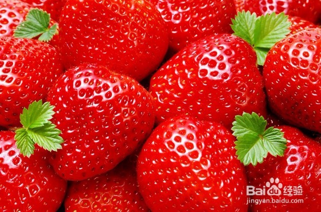 如何选购草莓