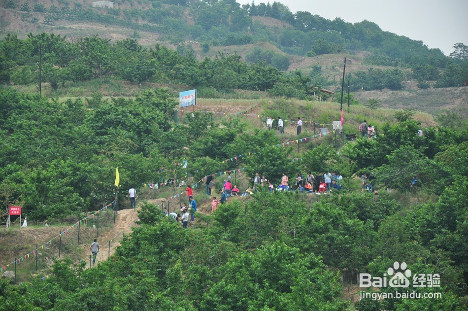 如何让果农增产又增收？