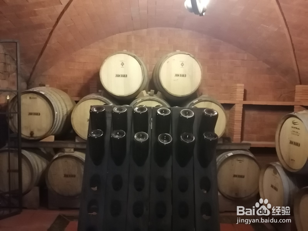 玻利维亚塔里哈市旅游攻略:红酒文化之旅