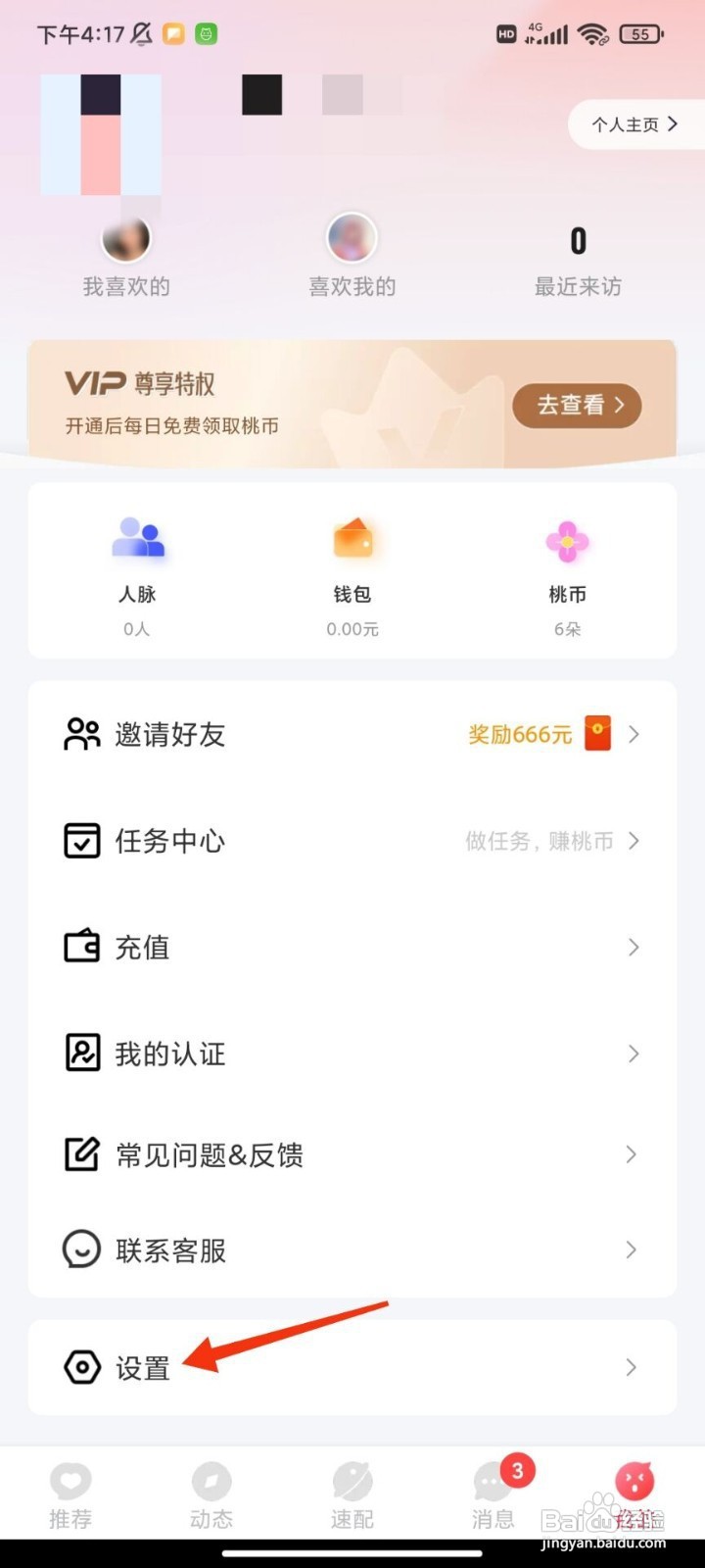 桃伴如何开启隐藏飘屏