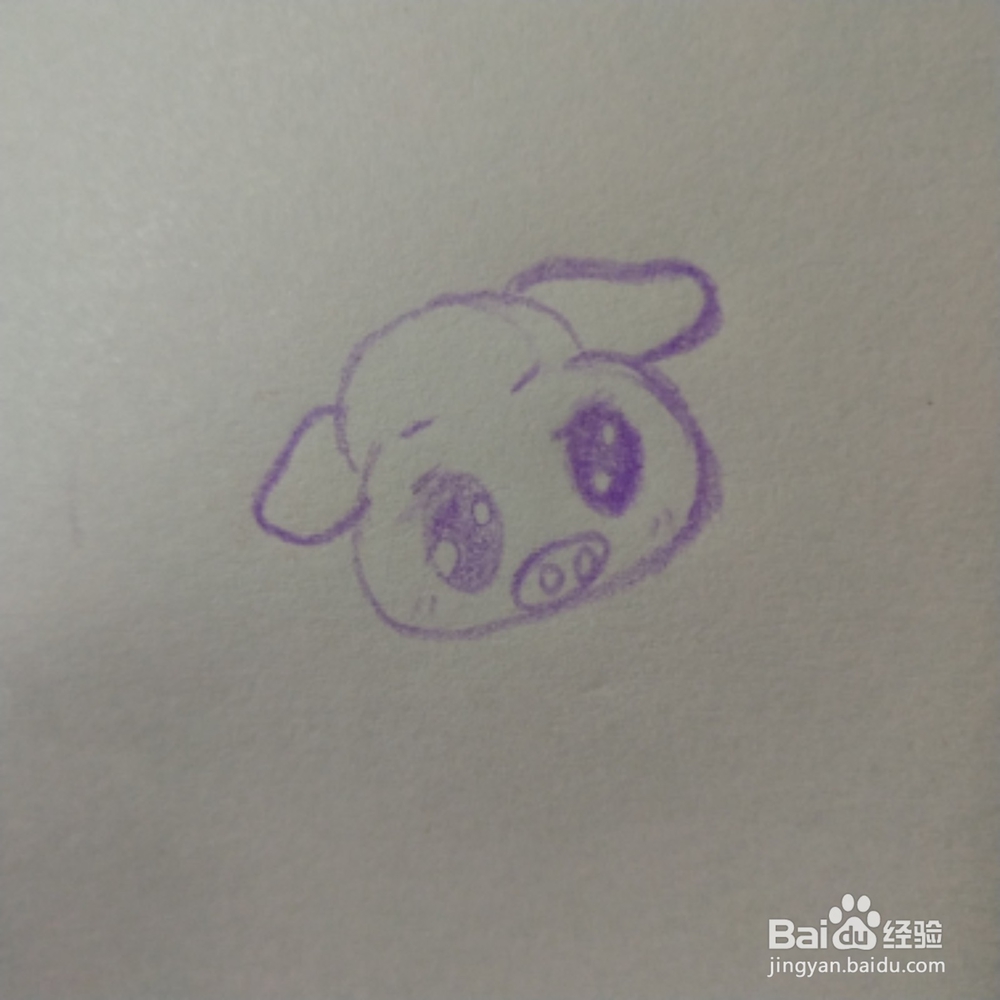 2019年简笔画紫色猪怎么画