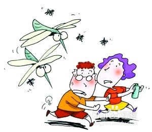 被蚊子叮咬了怎么办如何止痒