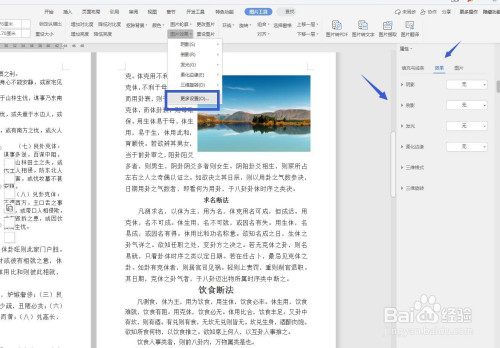 wps软件文字版怎么排版图片和文字?