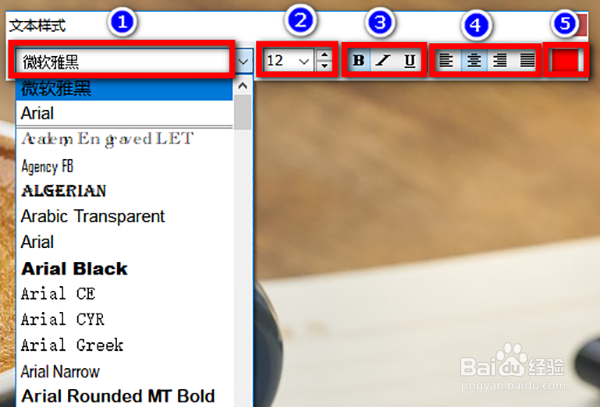 FastStone怎么编辑文字字体/颜色/背景/阴影