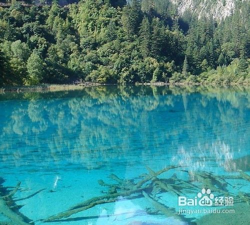 九寨沟_黄龙_“童话世界”四日游