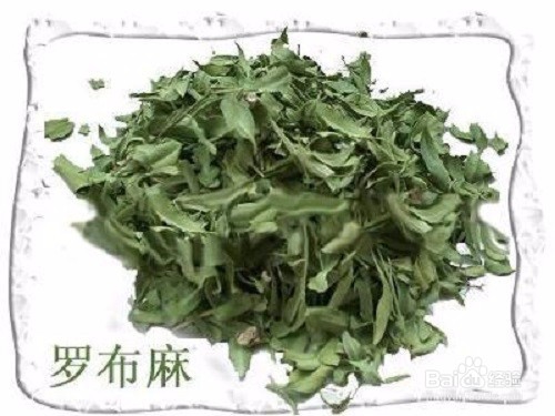 <b>罗布麻茶有哪些作用</b>