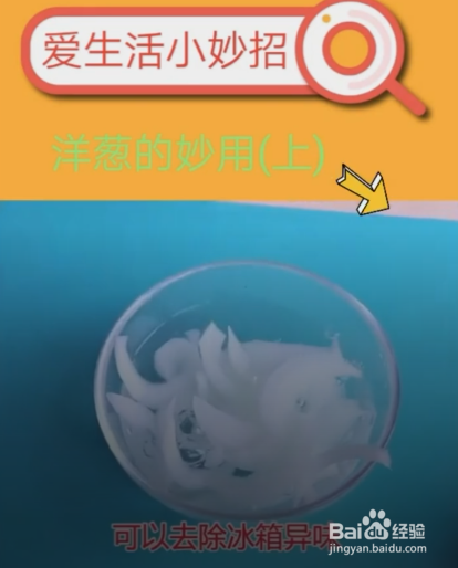 生活中洋葱的妙用
