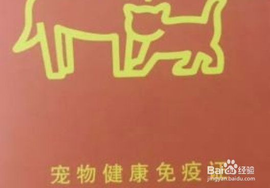 异地养狗怎么带回家