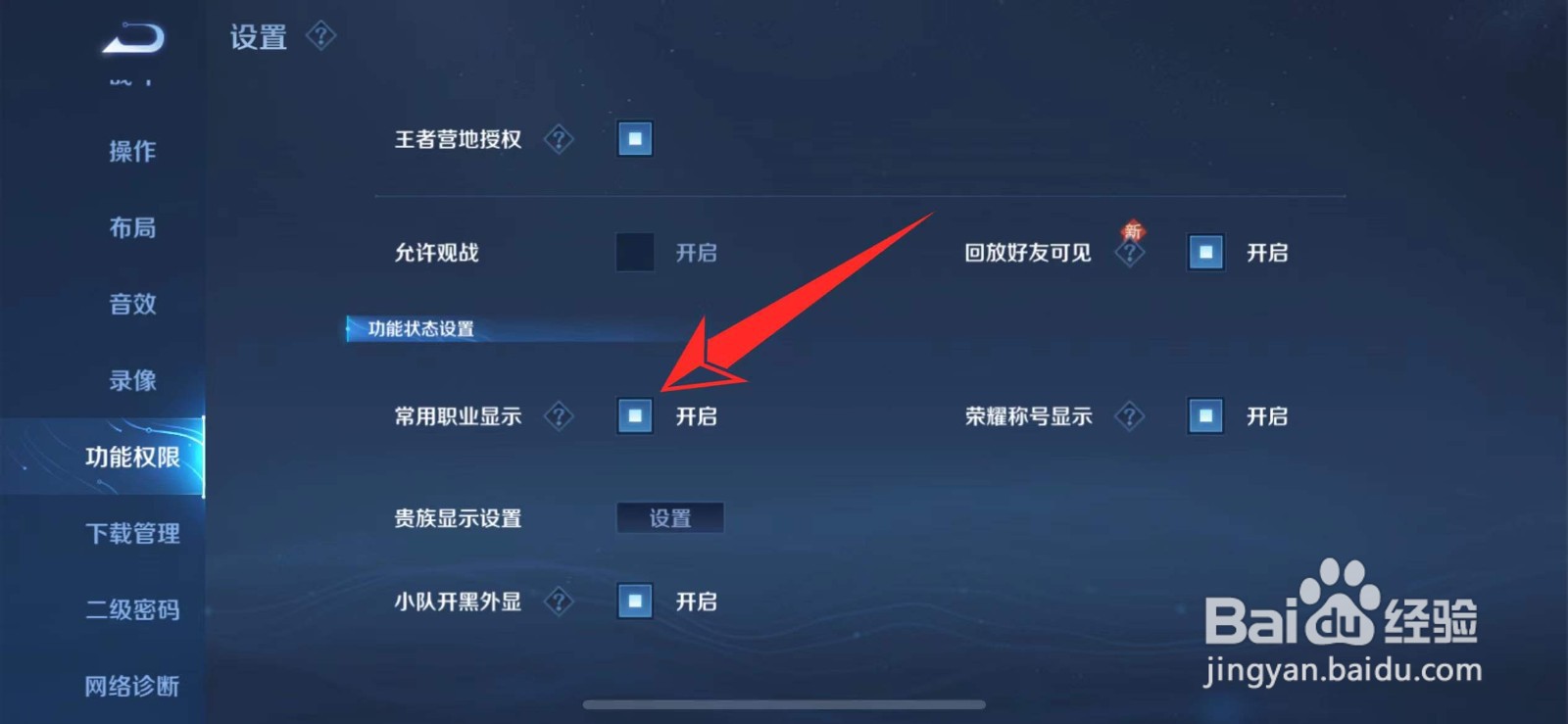王者荣耀怎么显示自己常用职业