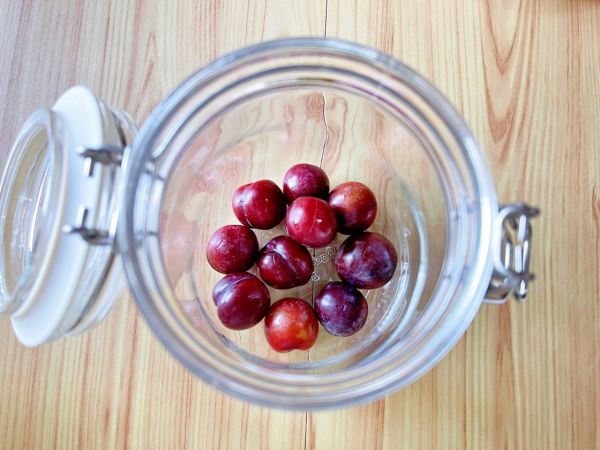 李子果酒做法简单