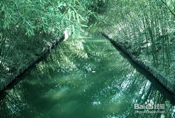 北京“紫竹院