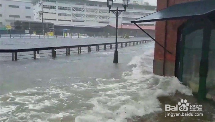 独自境外游,有哪些是要特别注意的点?