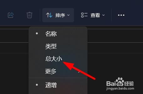 Win11如何按照总大小排序