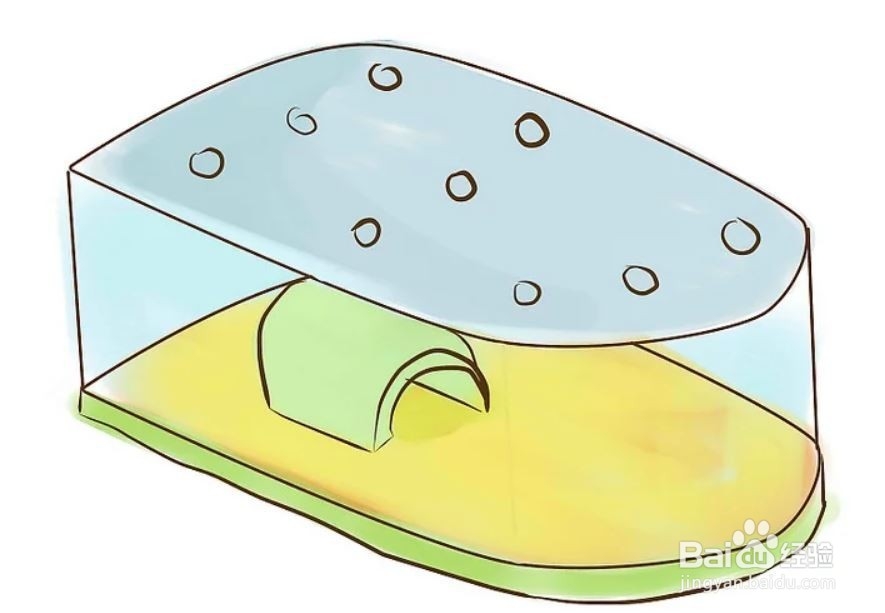 如何照顾一只刺猬