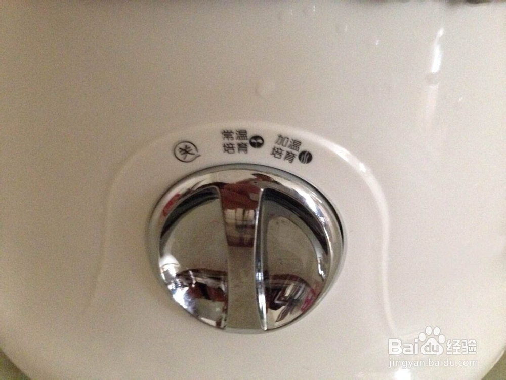 如何在家轻松发豆芽