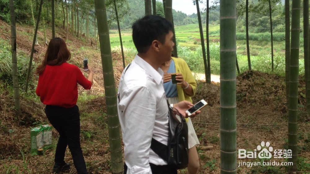 上品仙露竹筒酒的工艺是怎么样的？