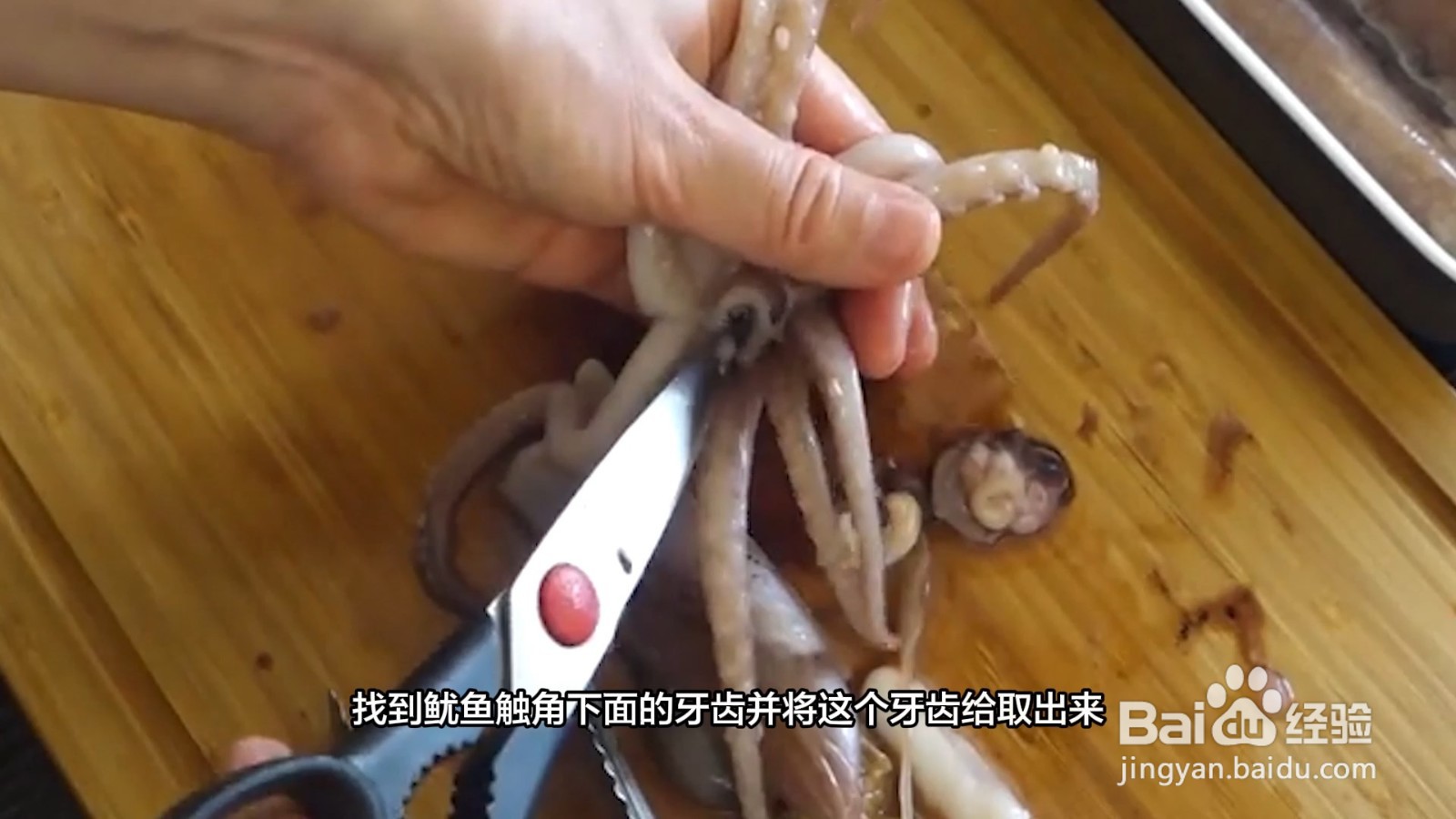 鱿鱼怎么处理干净