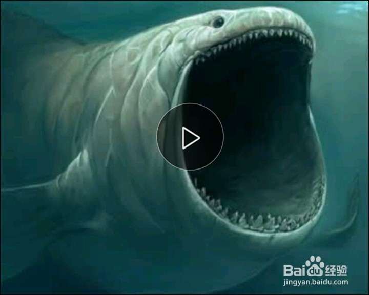 暴风魔镜小D开箱晒物