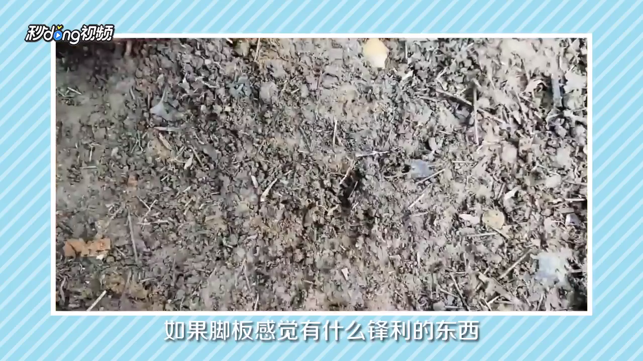 冬笋怎么挖？