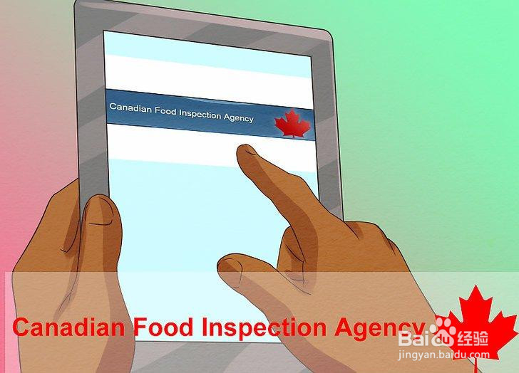 如何避免疯牛病