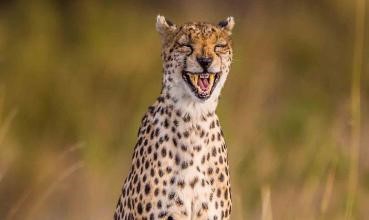 全国卷地理怎么得高分?