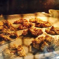 无糖燕麦片饼干
