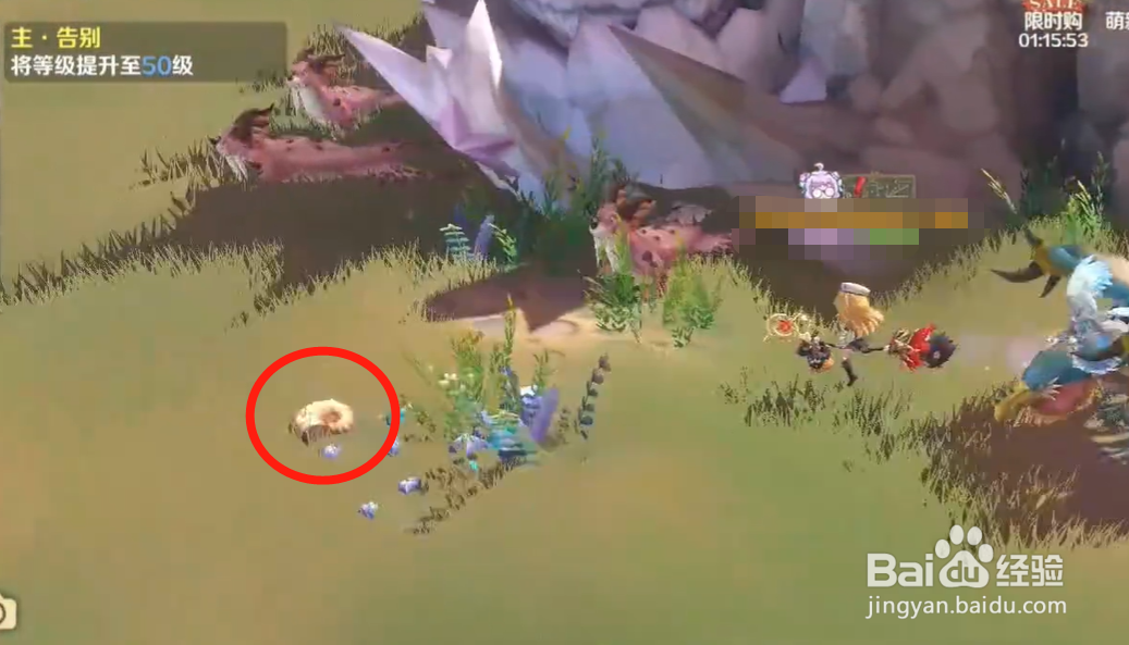 龙之国物语贝壳在哪获得