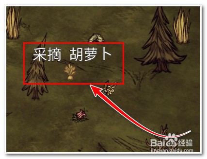 饥荒怎么抓兔子 饥荒如何抓活兔子