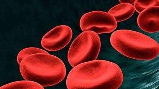 天草丹参茶的功效与服用方法有哪些