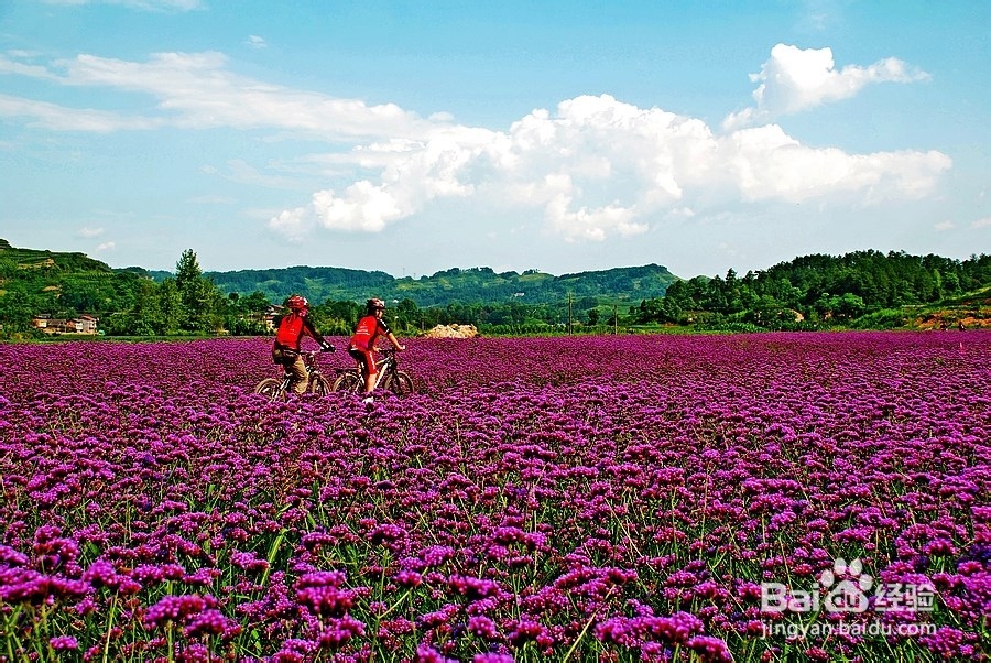 如何缓解失眠症状