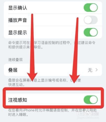 苹果手机在哪开启注视感知
