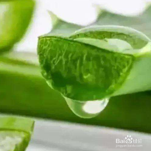 芦荟灌肤的手法及流程