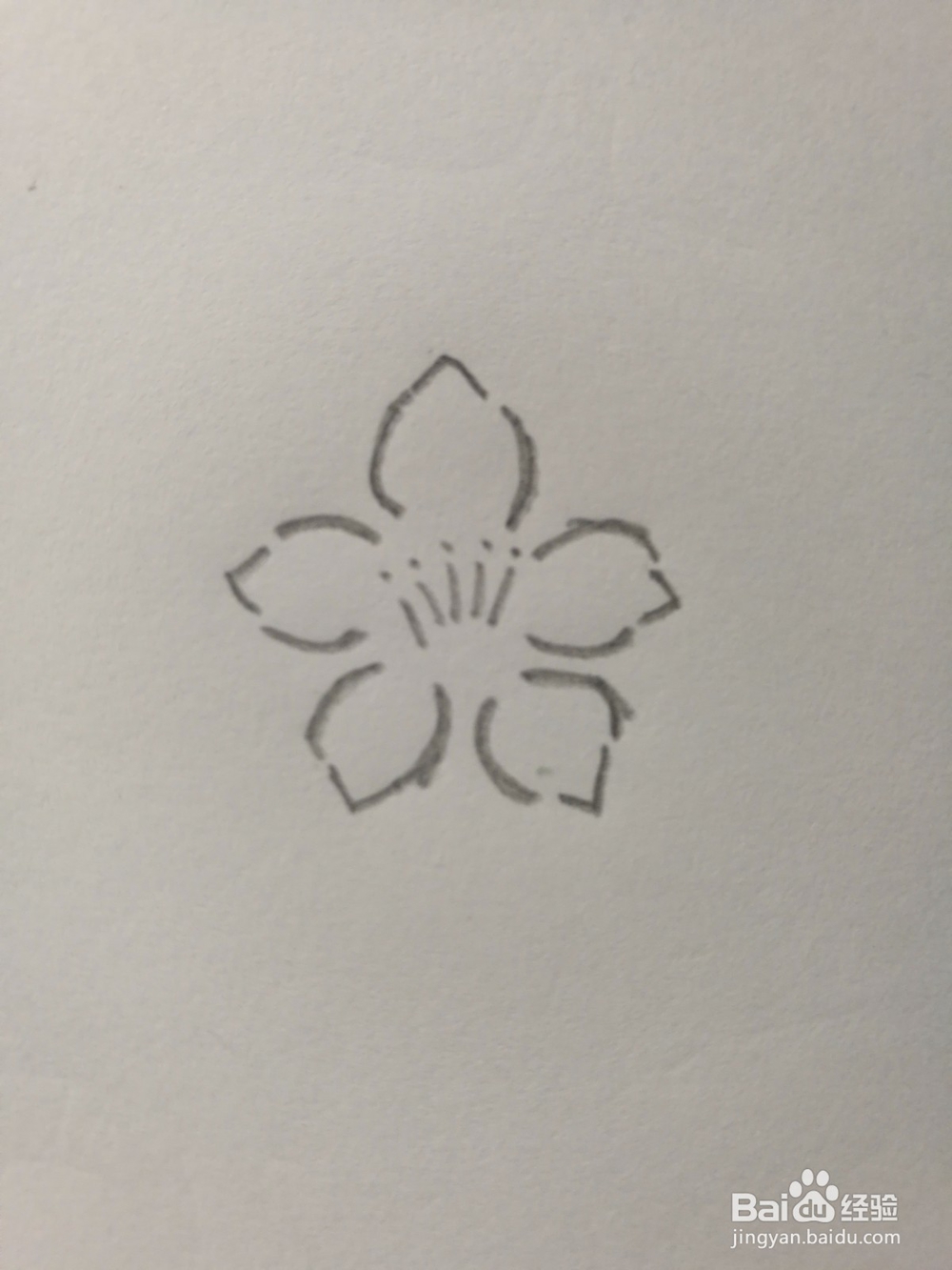 如何画简单的梅花