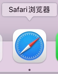 Safari浏览器主页的设置方法