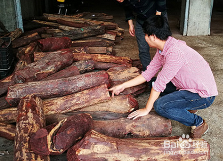 紫檀木雕摆件要如何养护