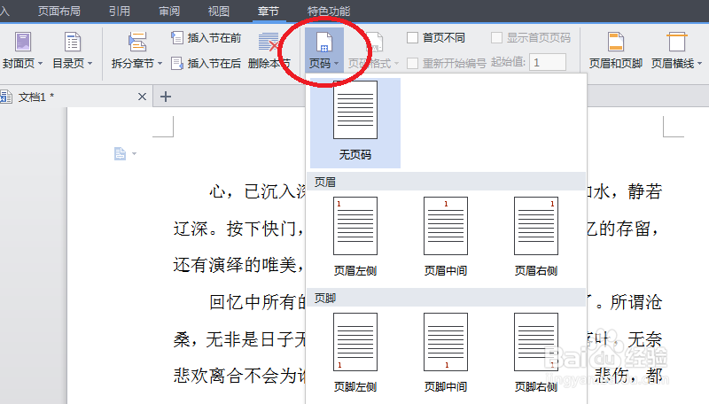 怎样在Word文档中第一页/部分不加页码