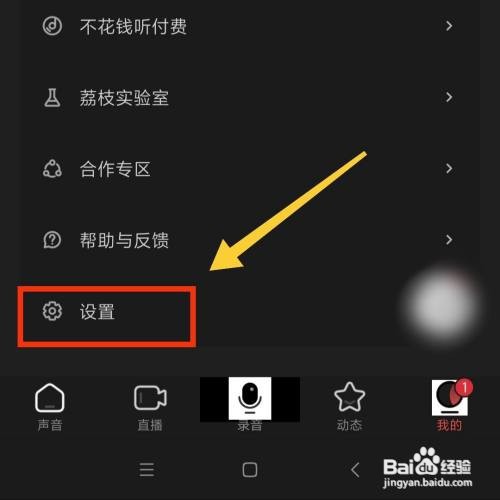 荔枝APP在哪开启免打扰模式