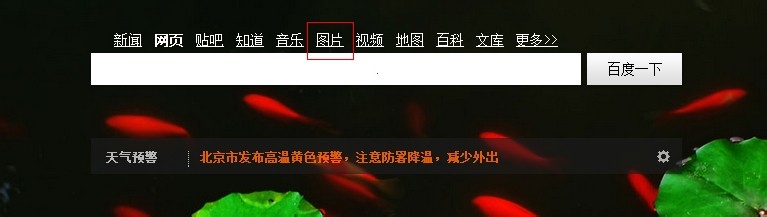 如何快速找到图片中人的信息