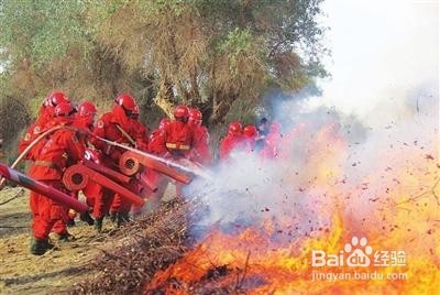 类似四川凉山木里县森林火灾应该如何救火？