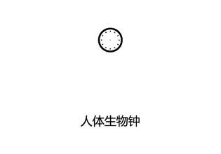 减肥食谱--亲身经历