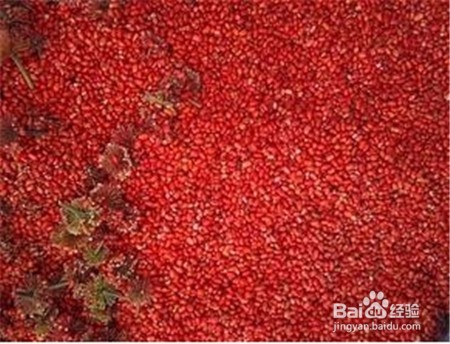 三七粉如何服用,不清楚的点击查看