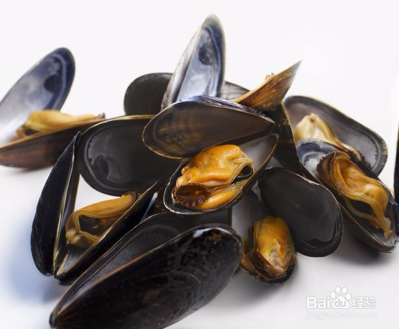 吃贻贝的禁忌