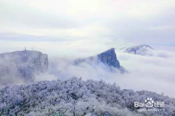 张家界旅游直通车/不跟团/自助游/自由行