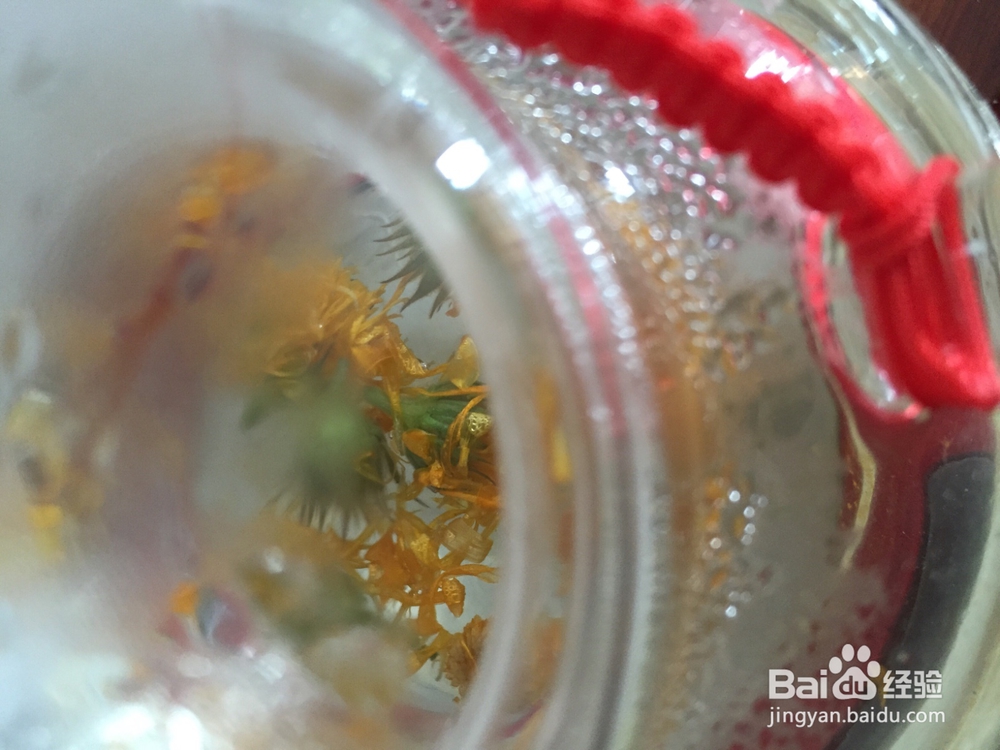 风和日丽的下午用自己种的金盏菊泡杯茶