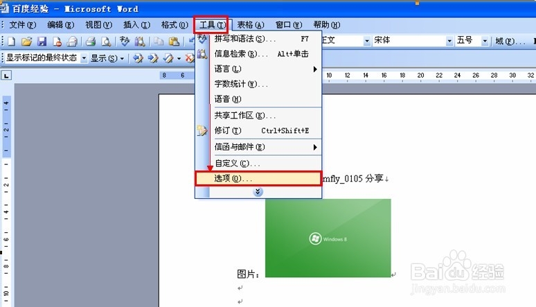 如何隐藏Word文档的格式标记