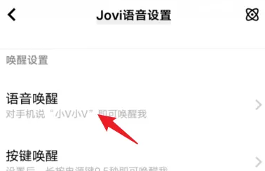 vivo手机怎么开启语音唤醒功能