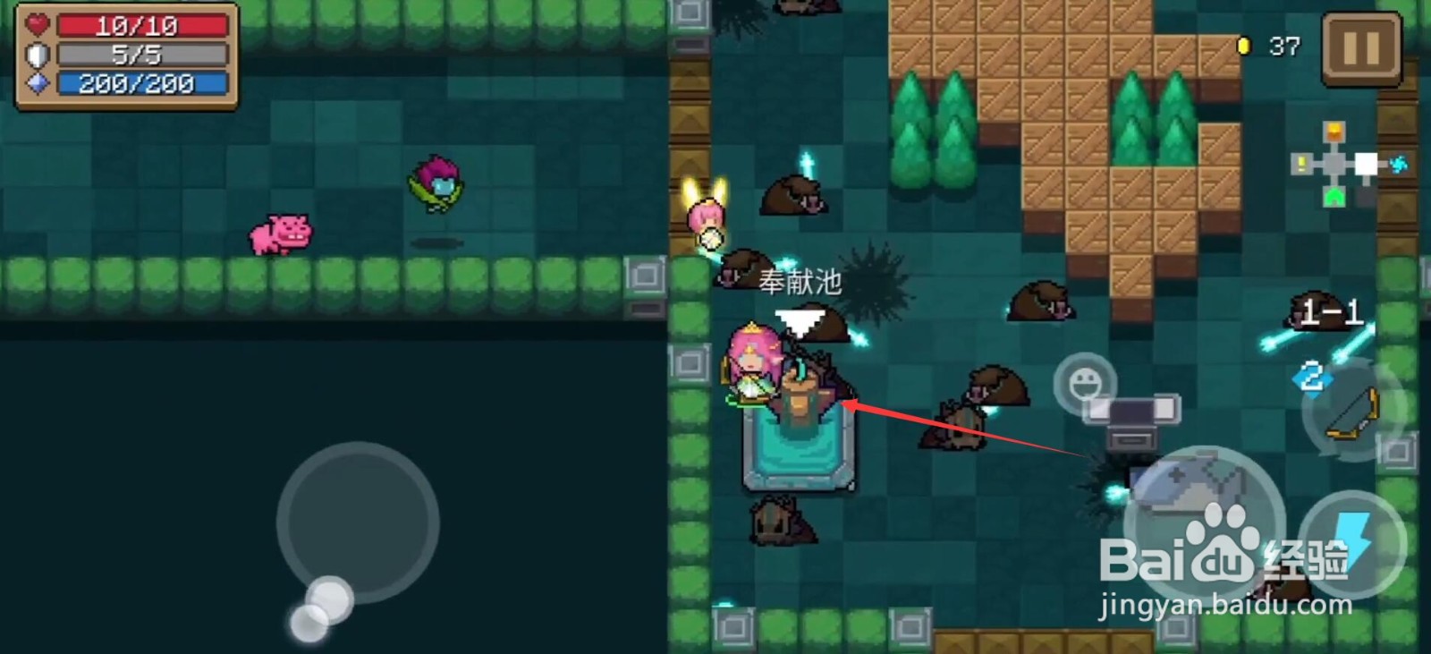 元气骑士奉献池有什么作用