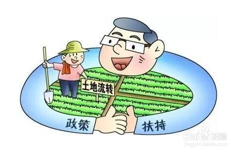 征地拆迁中,如何获取政府的违法证据