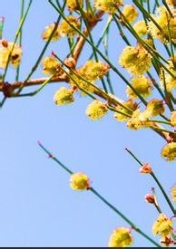 美容生活小常识1